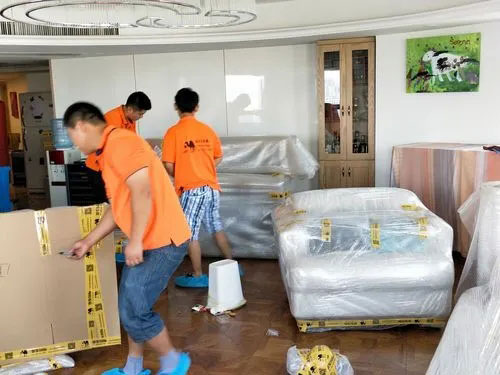 阜沙镇精品搬家公司